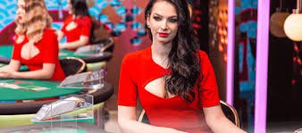 gans33